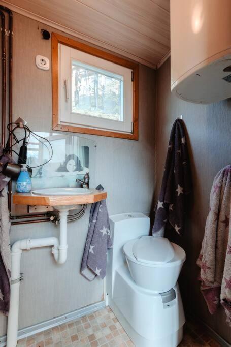 Tinyhouse Auf Dem Sonnenhang Osterode am Harz Dış mekan fotoğraf